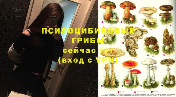 гашиш Магас