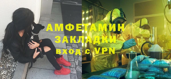 амф Алзамай