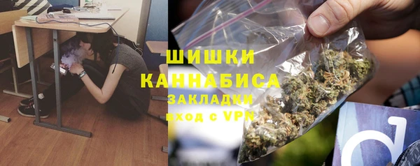 амф Алзамай